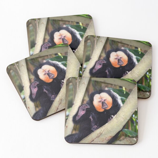 Item preview, Saki Monkey  designed and sold by Savannah Gibbs.
