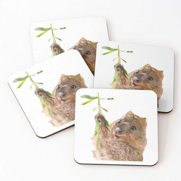 Item preview, Rock hyrax dassie quokka  designed and sold by SillyLittleSnek.