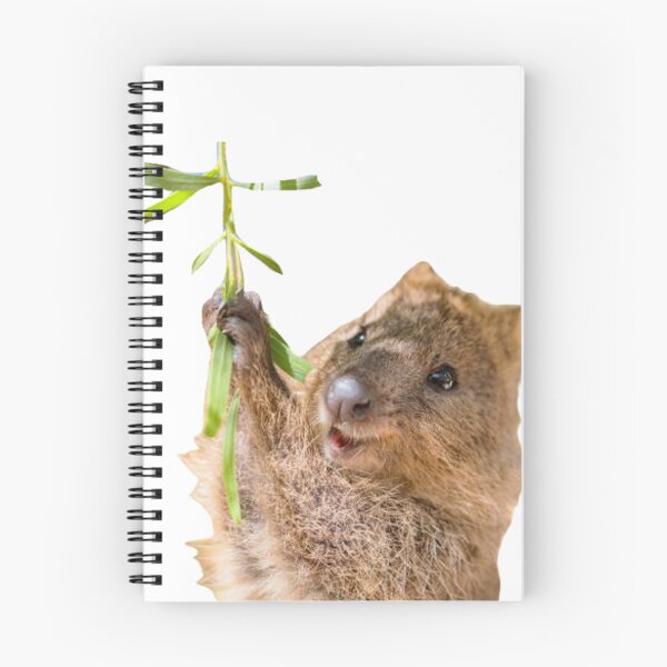 Artikelvorschau, Klippschliefer Quokka entworfen und verkauft von SillyLittleSnek.