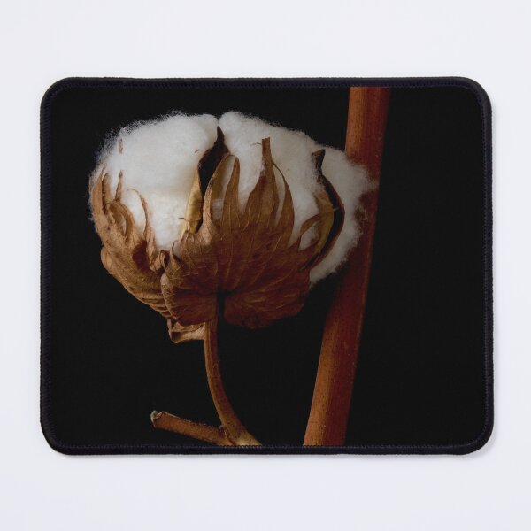 Item preview, cotton flower designed and sold by IgorKovalenko.