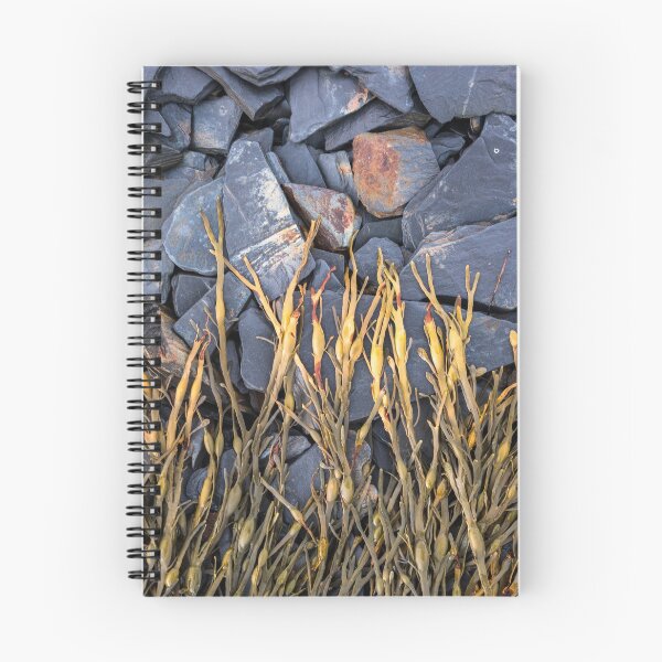 Item preview, Ballachulish Slate beach #1 designed and sold by ccullen222.