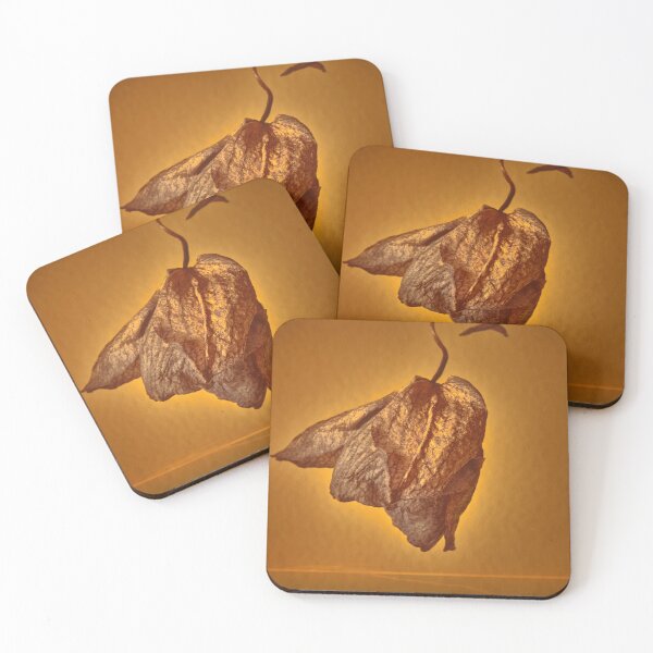 Item preview, orchid flower designed and sold by IgorKovalenko.