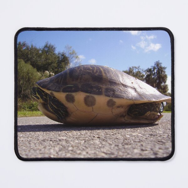 Item preview, Turte designed and sold by MercerImages.