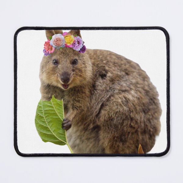 Item preview, Flower crown dassie designed and sold by SillyLittleSnek.