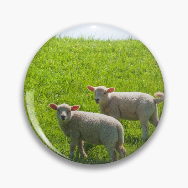 Item preview, Two lambs on a dike, Leer, East Frisia, Lower Saxony, Germany designed and sold by Torsten  Krüger.