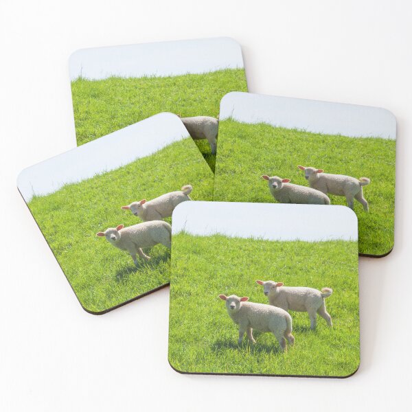 Item preview, Two lambs on a dike, Leer, East Frisia, Lower Saxony, Germany designed and sold by Torsten  Krüger.