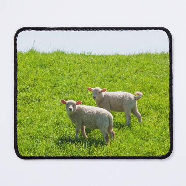 Item preview, Two lambs on a dike, Leer, East Frisia, Lower Saxony, Germany designed and sold by Torsten Krüger.