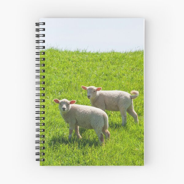 Item preview, Two lambs on a dike, Leer, East Frisia, Lower Saxony, Germany designed and sold by Torsten  Krüger.