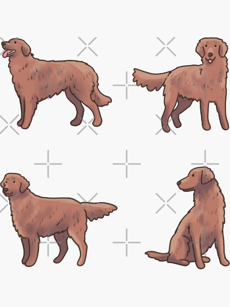 Funny Cockapoo Card. Card For A Tennis Player. Furry Balls Funny - View #5