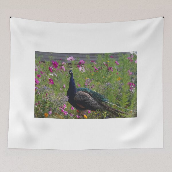 Item preview, Peacock Amid The Cosmos designed and sold by lezvee.