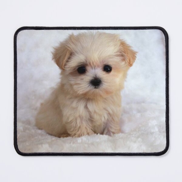 Item preview, Cute Puppy designed and sold by BigTomo.