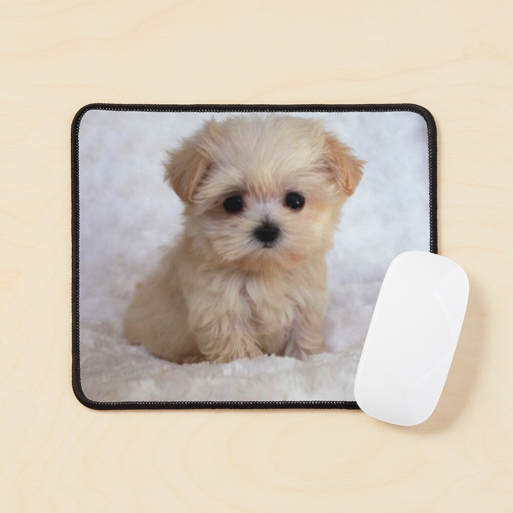 Item preview, Mouse Pad designed and sold by BigTomo.