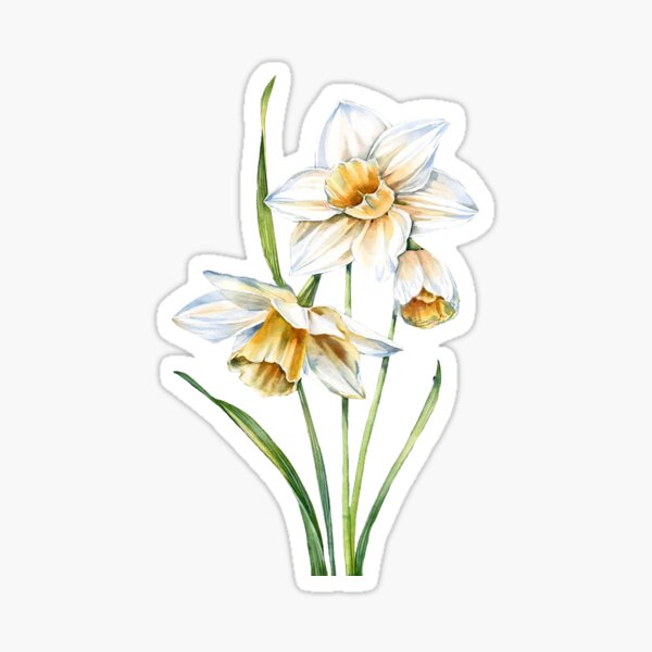 Item preview, Daffodil designed and sold by ℒ 's Gallery.