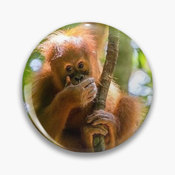 Item preview, Baby Orangutan designed and sold by BigTomo.