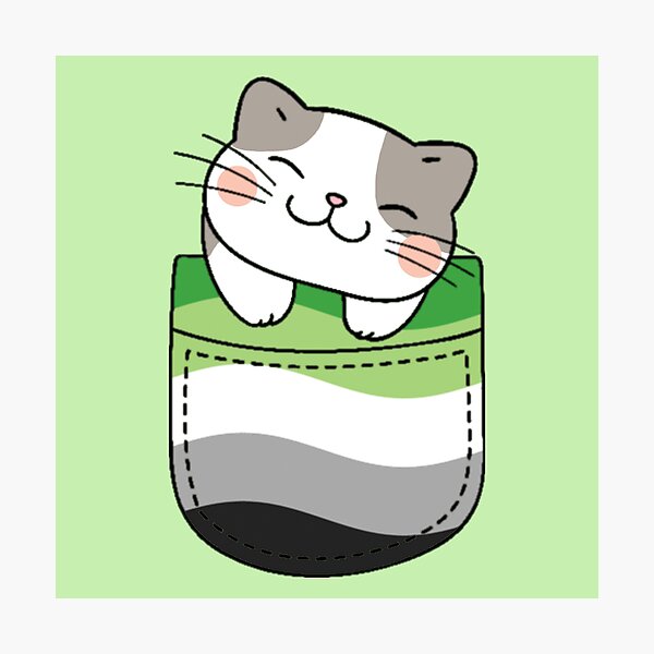 Item preview, Aromantic Pride Cat in Faux Pocket designed and sold by everything4eva.