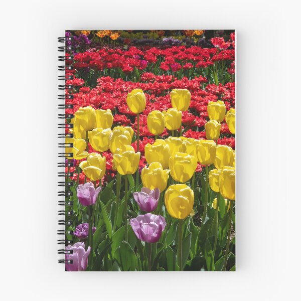 Item preview, Tulip 5 designed and sold by yunee.