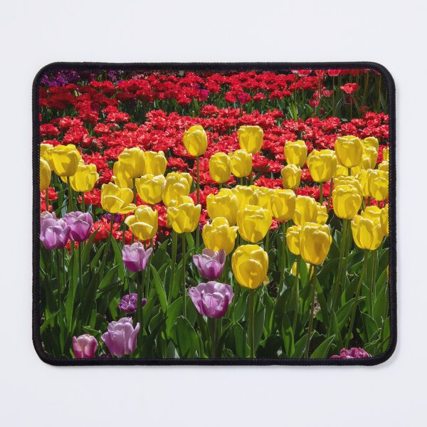 Item preview, Tulip 5 designed and sold by yunee.