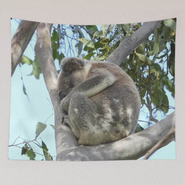 Item preview, Koala ... do not disturb ... I'm already disturbed enough. designed and sold by Jenny  Dyer.