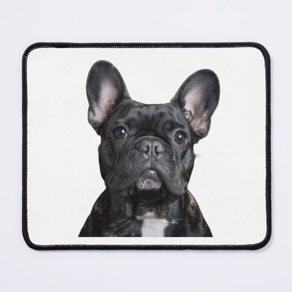Item preview, Dog designed and sold by Wininter1729.
