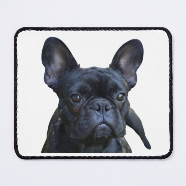 Item preview, Dog designed and sold by Wininter1729.