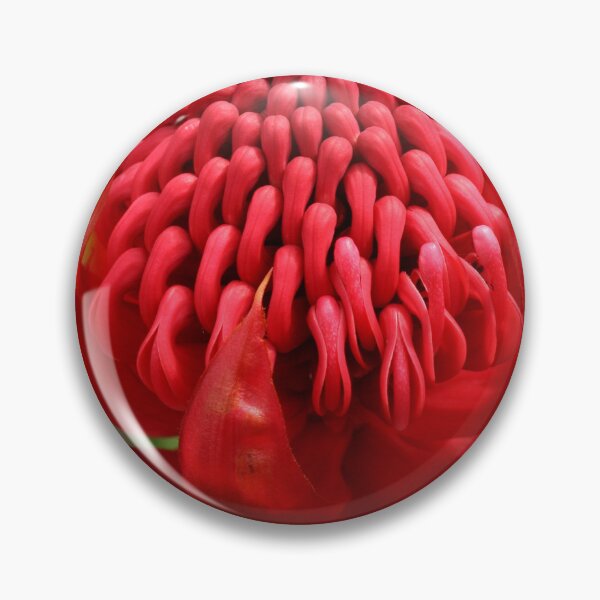 Item preview, Waratah flame designed and sold by Michael Matthews.