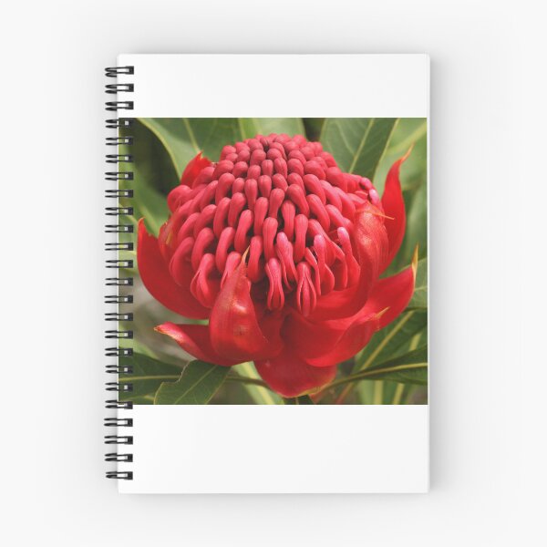 Item preview, Waratah flame designed and sold by Michael Matthews.