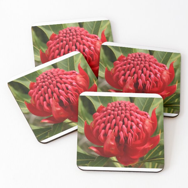 Item preview, Waratah flame designed and sold by Michael Matthews.