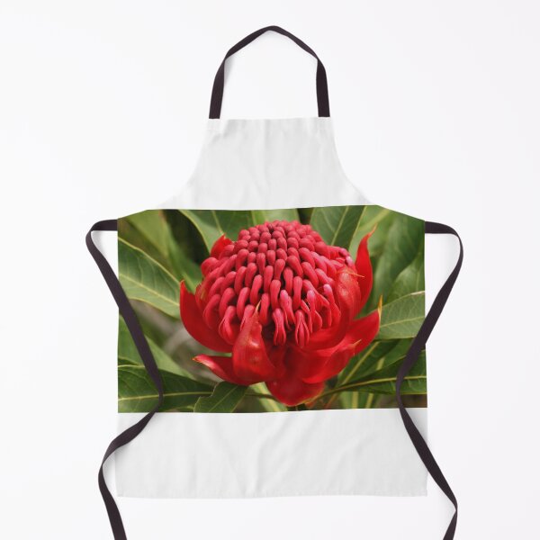Item preview, Waratah flame designed and sold by Michael Matthews.