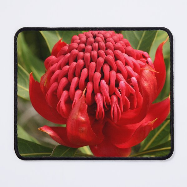 Item preview, Waratah flame designed and sold by Michael Matthews.