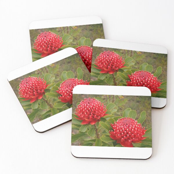 Item preview, Waratah double designed and sold by Michael Matthews.
