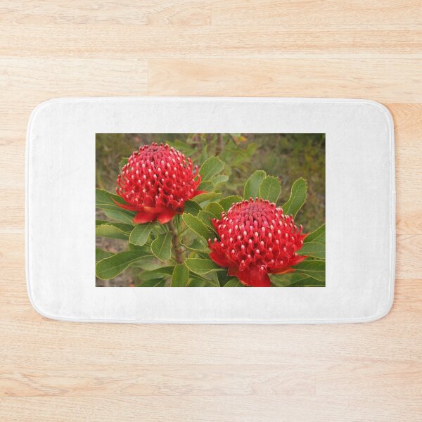 Item preview, Waratah double designed and sold by Michael Matthews.