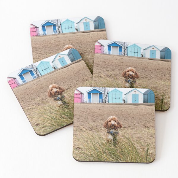 Item preview, Cockapoo Hiding In The Sand Grasses designed and sold by Paul Thompson Photography.