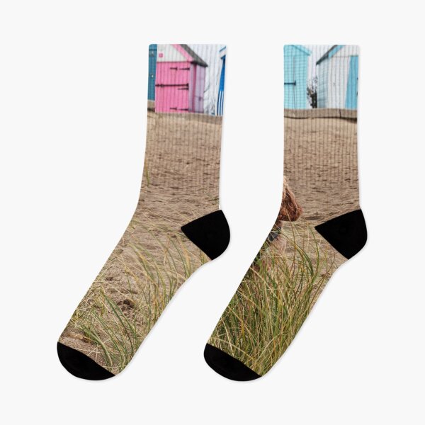 Item preview, Cockapoo Hiding In The Sand Grasses designed and sold by Paul Thompson Photography.