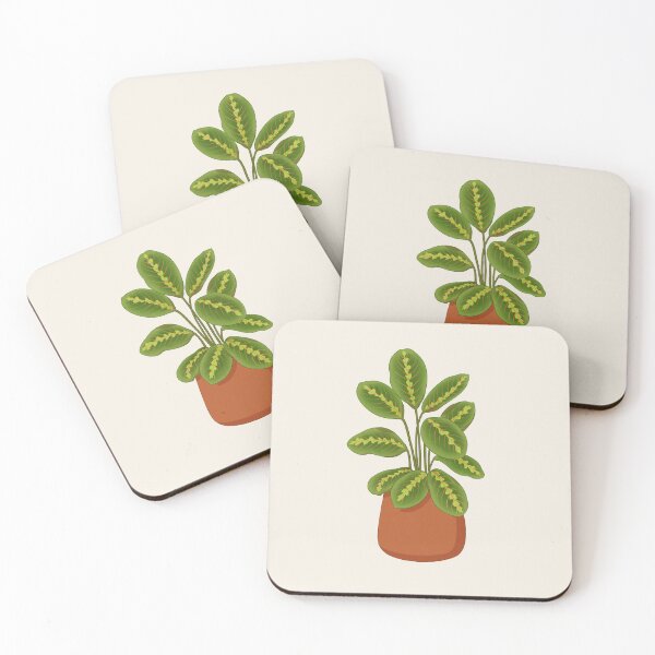 Item preview, House plant | Calathea designed and sold by SophieGiggles.