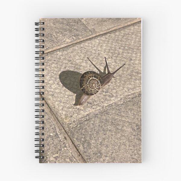 Item preview, Our friend, the Fibonacci sequence, designed and sold by ZeroTechnique.