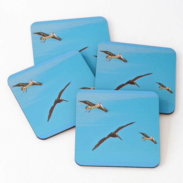 Item preview, Endangered Brown Pelicans Latin name Pelecanus occidentalis designed and sold by Peter Etchells.