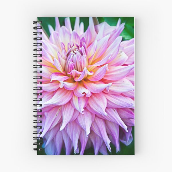 Item preview, White-purple dahlia designed and sold by Elzbieta Fazel.
