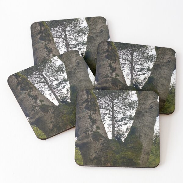 Item preview, #346 |☼| Tree Between Two Trunks (Matlock Bath) designed and sold by Naean H.F. (Nez Man).