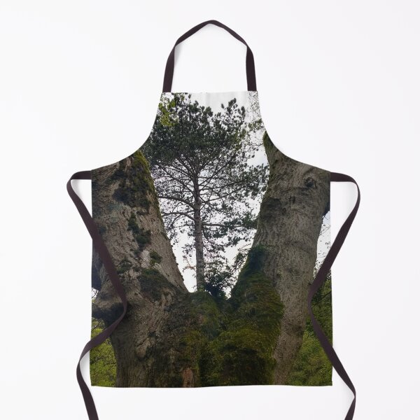 Item preview, #346 |☼| Tree Between Two Trunks (Matlock Bath) designed and sold by Naean H.F. (Nez Man).