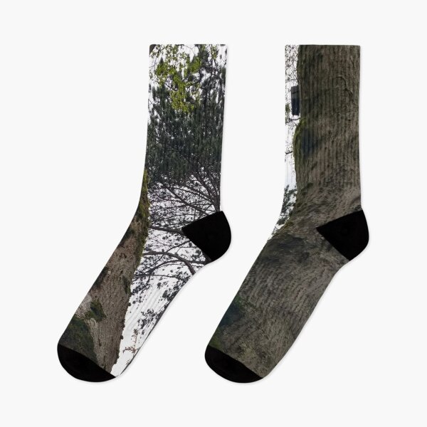 Item preview, #346 |☼| Tree Between Two Trunks (Matlock Bath) designed and sold by Naean H.F. (Nez Man).