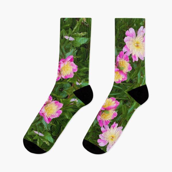 Item preview, Springtime in Parc Bagatelle, Paris designed and sold by ricoflinn.