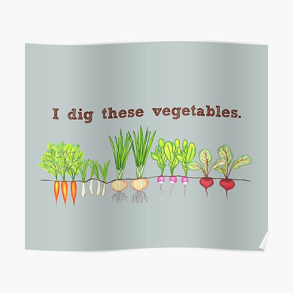 I Dig These Vegetables Poster