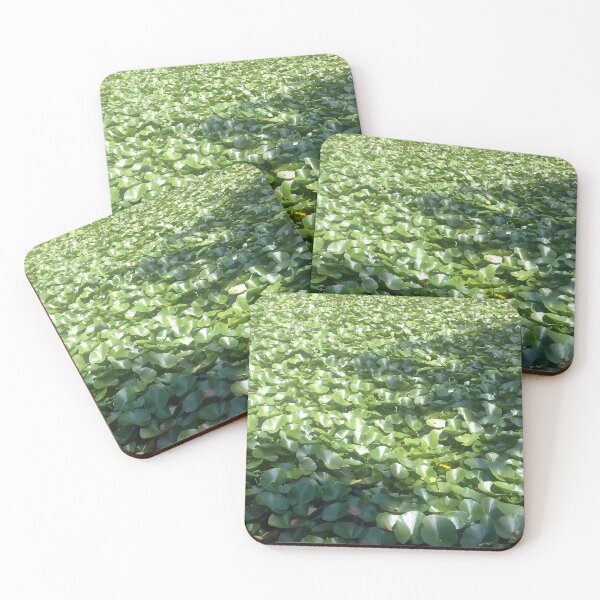 Item preview, Water lilies leaves pattern designed and sold by mariya-ivanova.