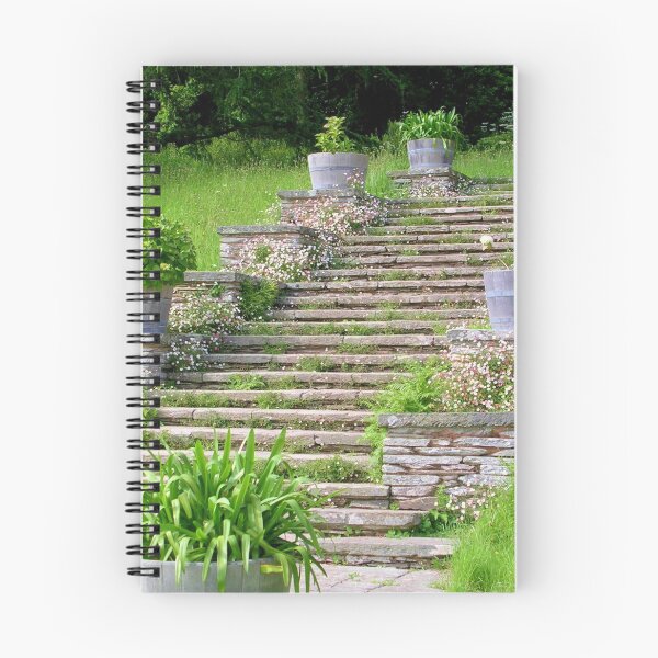 Item preview, Garden Steps (2) designed and sold by lezvee.