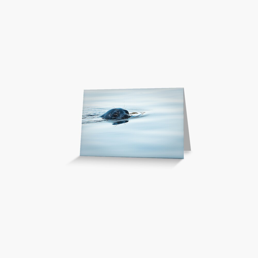 Who is Watching Whom: Seal, Active Pass Greeting Card