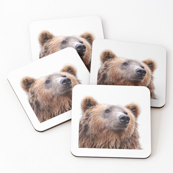 Item preview, Bear designed and sold by ClassesCurious.