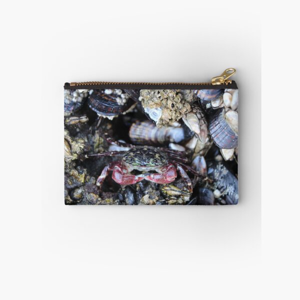 Item preview, Hidden Crab designed and sold by mateoromero2525.