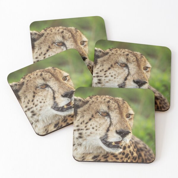 Item preview, Cheetah Portrait Botswana Africa #2 designed and sold by PhotoArt by Joan Carroll.