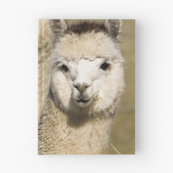 Item preview, Alpaca at One Tree Hill Alpacas (5) designed and sold by Wolf Sverak Photography.