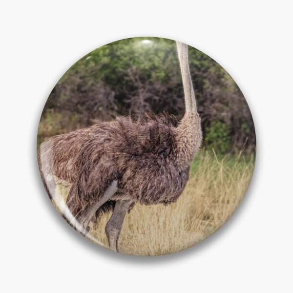 Item preview, Ostrich Tanzania Africa designed and sold by PhotoArt by Joan Carroll.